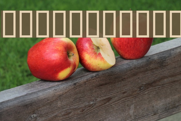 On the farm Font examples