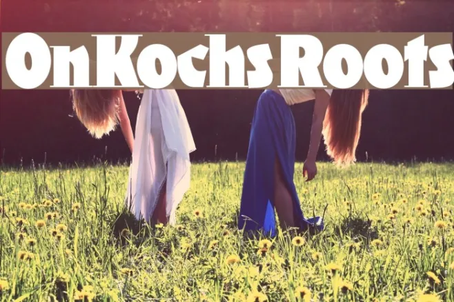 OnKochsRoots Example 1