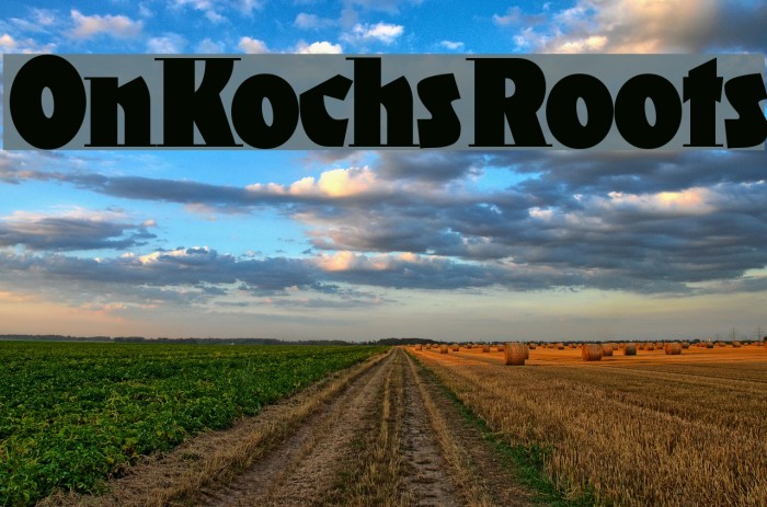 OnKochsRoots Font examples