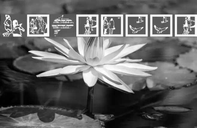 OnStreet Font examples