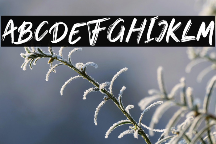 OnTheWay-Regular Example 1