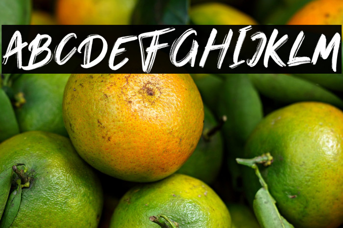 OnTheWay-Regular Example 3