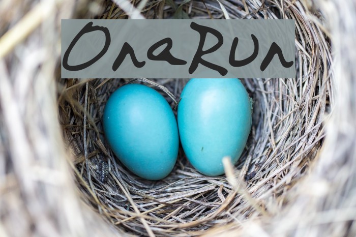 On_a_Run Font examples