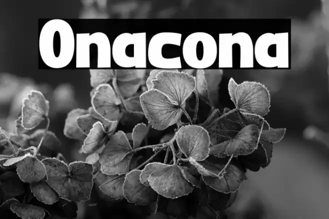 Onacona फ़ॉन्ट examples
