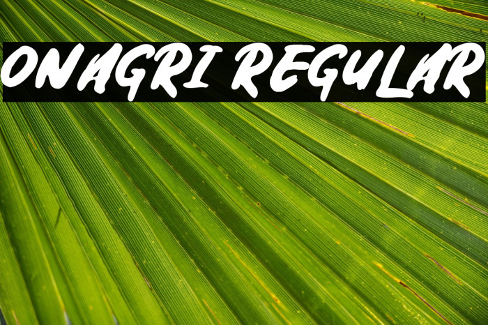 Onagri Regular Example 1