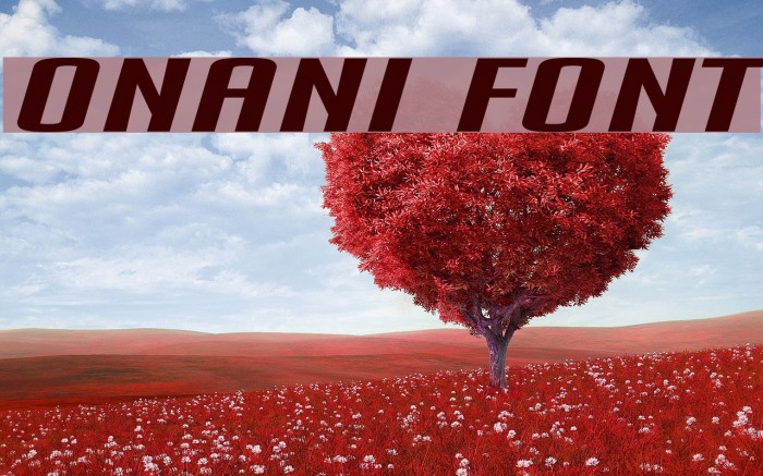 Onani Font examples