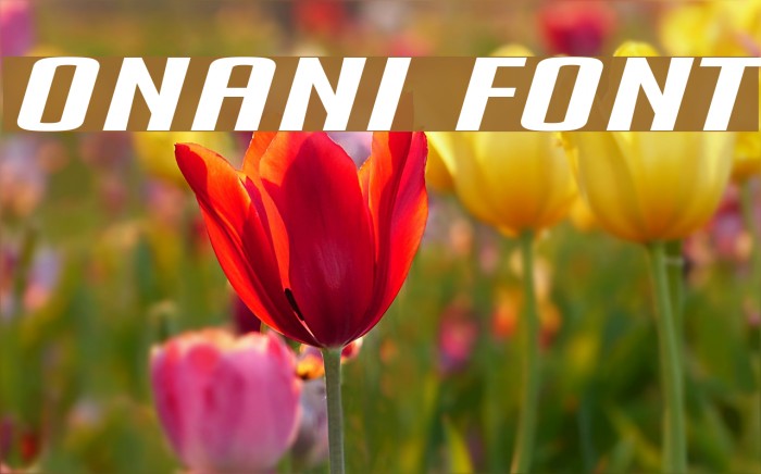 Onani Font examples