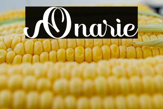 Onarie Example 1