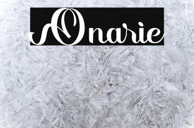 Onarie Example 2