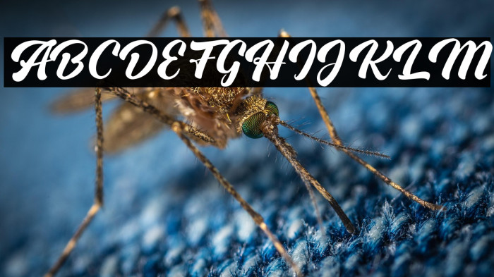 OnboardFREE Example 1