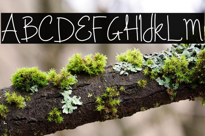 Once Upon A Dream  Example 1