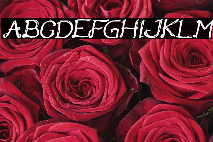 Once Upon a Time Bold Italic Example 2