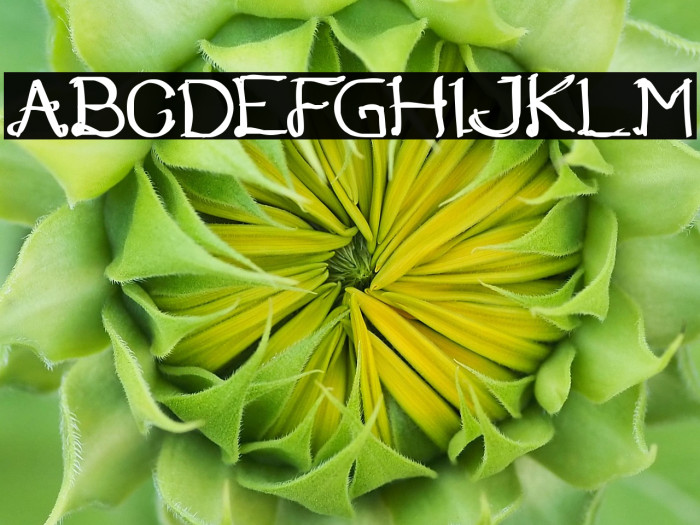 Once Upon a Time Bold Example 1