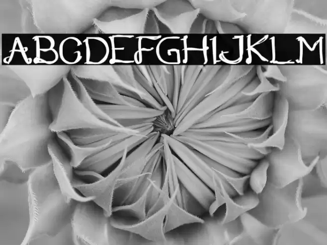 Once Upon a Time Bold Font examples