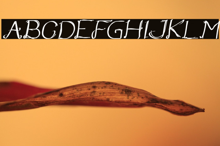 Once Upon a Time Italic Example 2