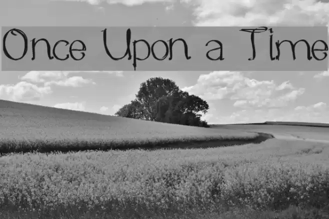 Once Upon a Time Polices examples