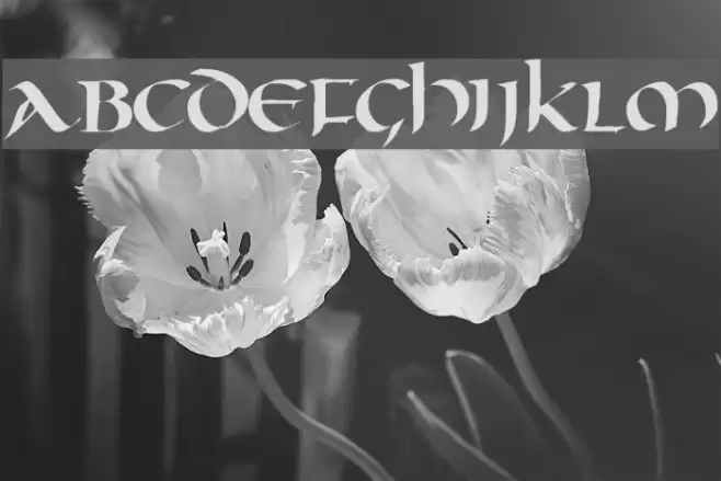 Oncial Font examples