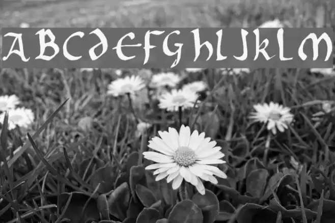 Onciale PhF Font examples