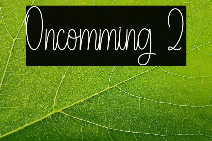 Oncomming 2 Example 2