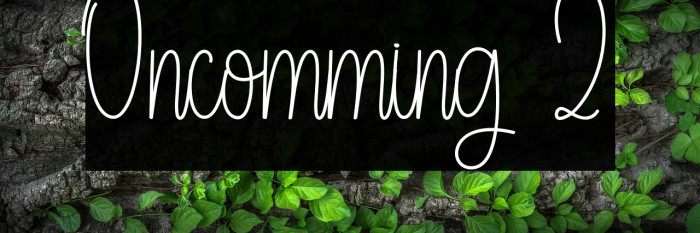 Oncomming 2 Example 3