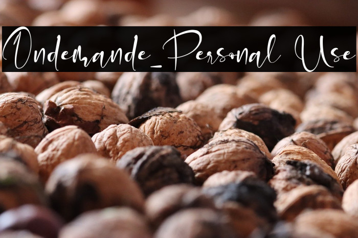 Ondemande_Personal Use Example 1