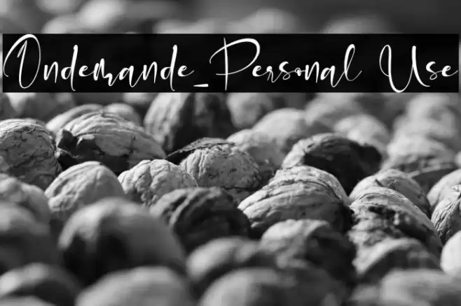 Ondemande_Personal Use Font examples