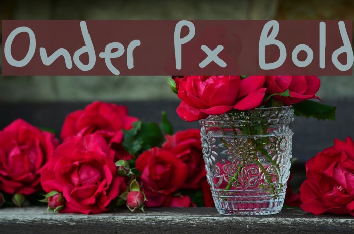 Onder Px Bold Font examples