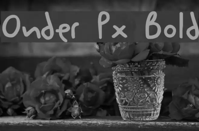 Onder Px Bold Fonte examples