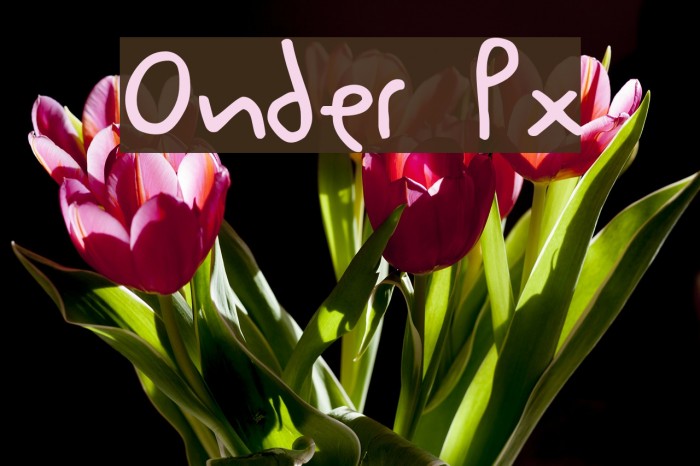 Onder Px Font examples