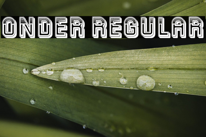 Onder Regular Example 2