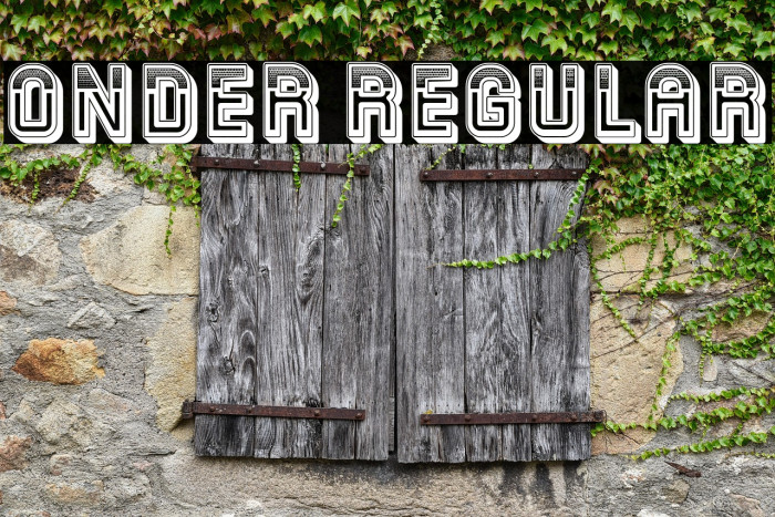 Onder Regular Example 3