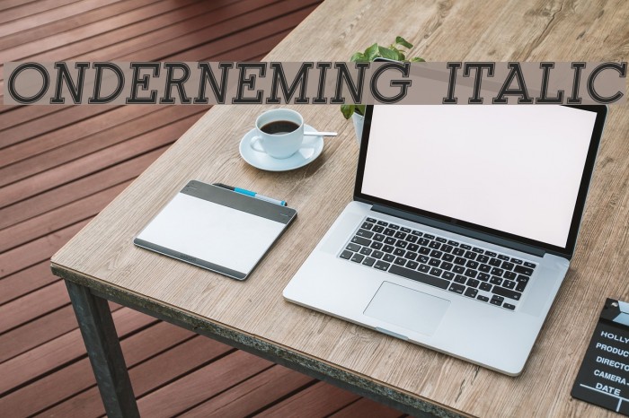 Onderneming Italic Font examples