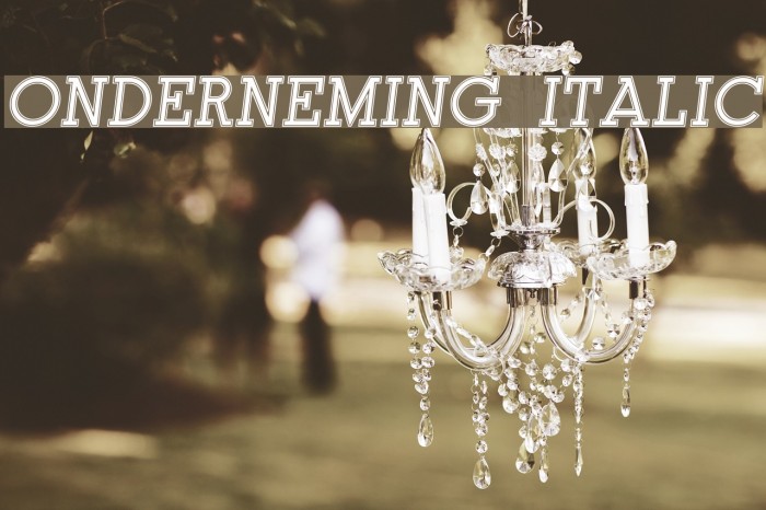 Onderneming Italic Font examples