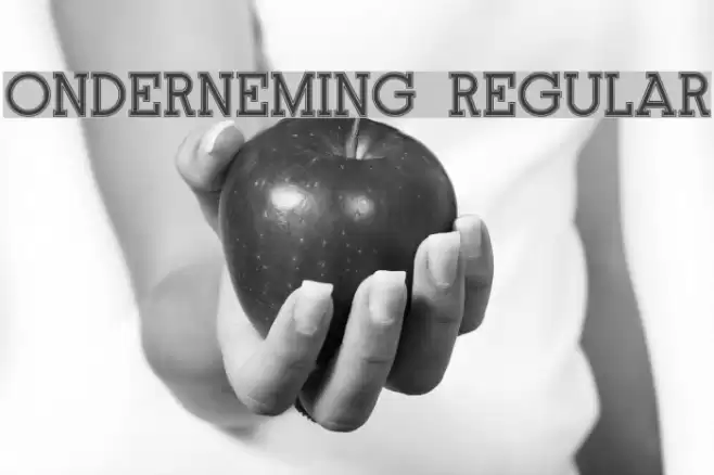 Onderneming Regular Font examples