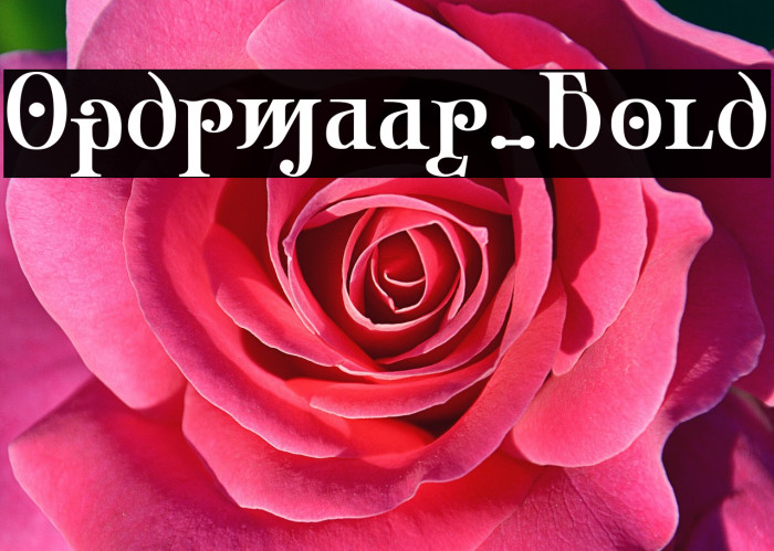 Ondrwaax-Bold Example 1