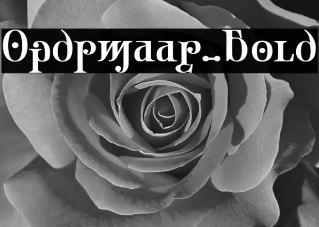 Ondrwaax-Bold Font examples