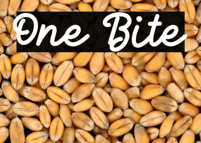 One Bite Example 3
