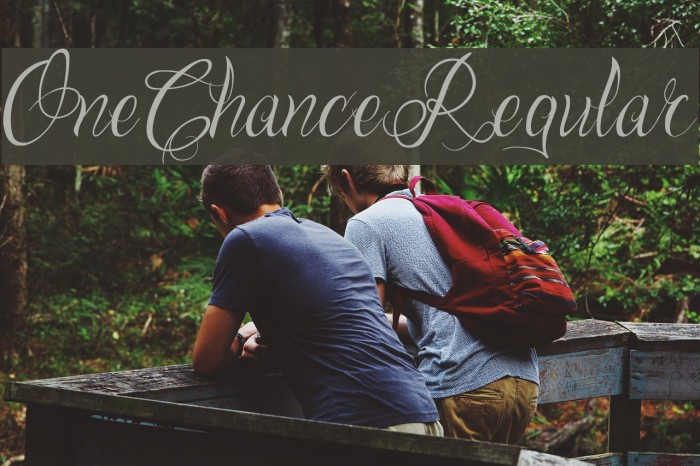 One Chance Regular Font examples
