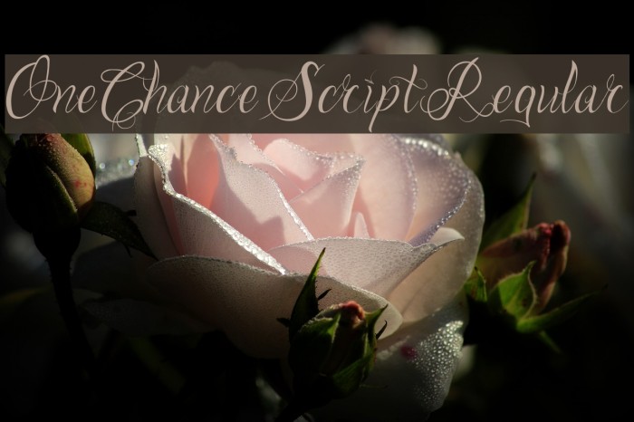 One Chance Script Regular Font examples