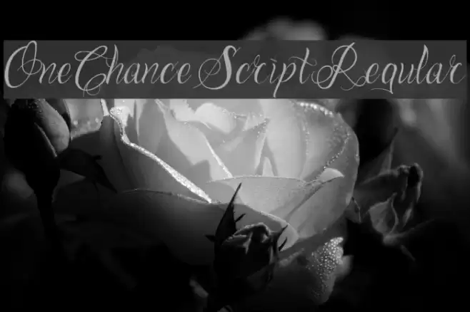 One Chance Script Regular Font examples