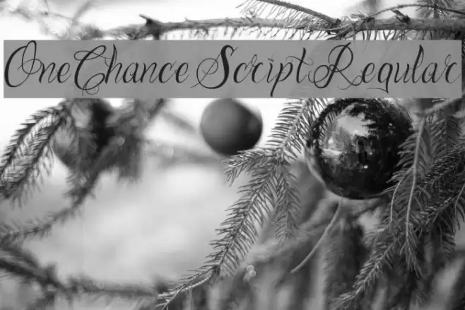 One Chance Script Regular Font examples