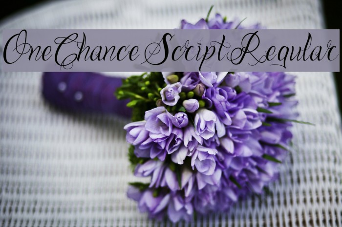 One Chance Script Regular Font examples