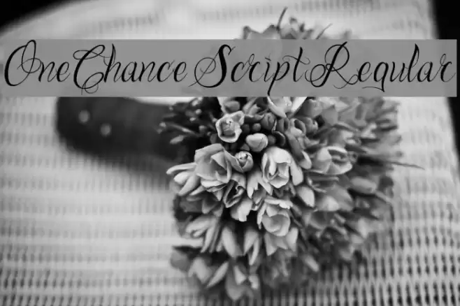 One Chance Script Regular Font examples