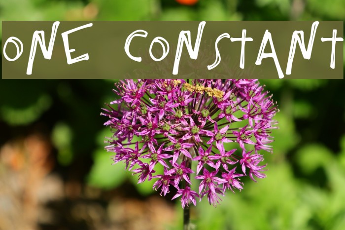 One Constant Font examples