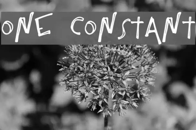 One Constant フォント examples