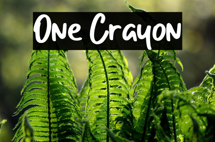 One Crayon Example 1