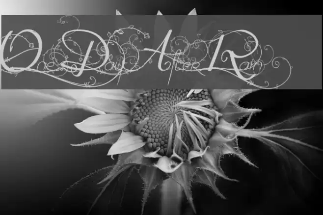 One Day After Rain Schriftart examples