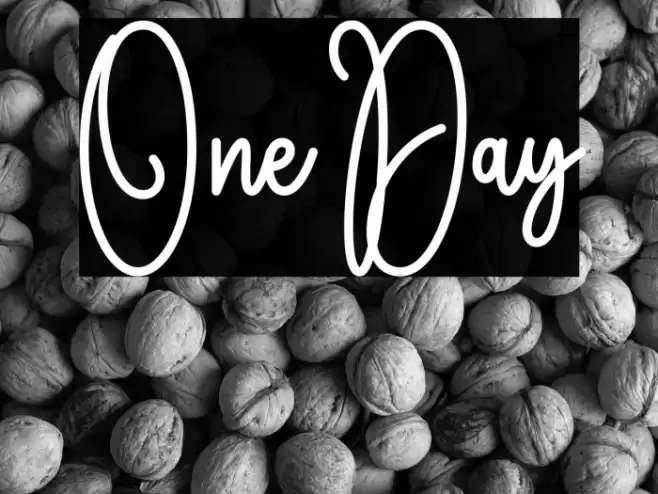 One Day Schriftart examples