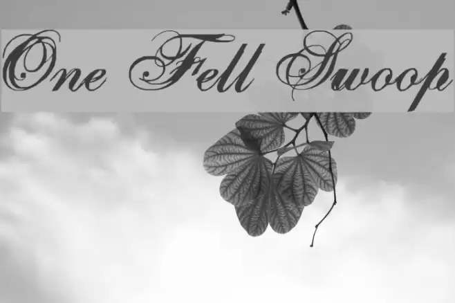 One Fell Swoop Font examples