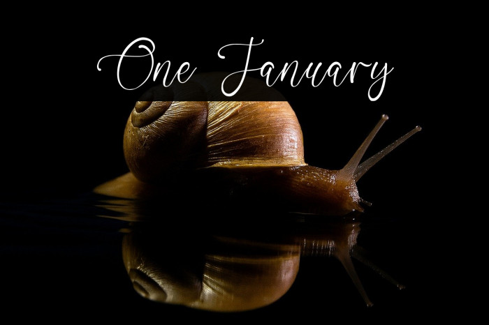 One January Example 1